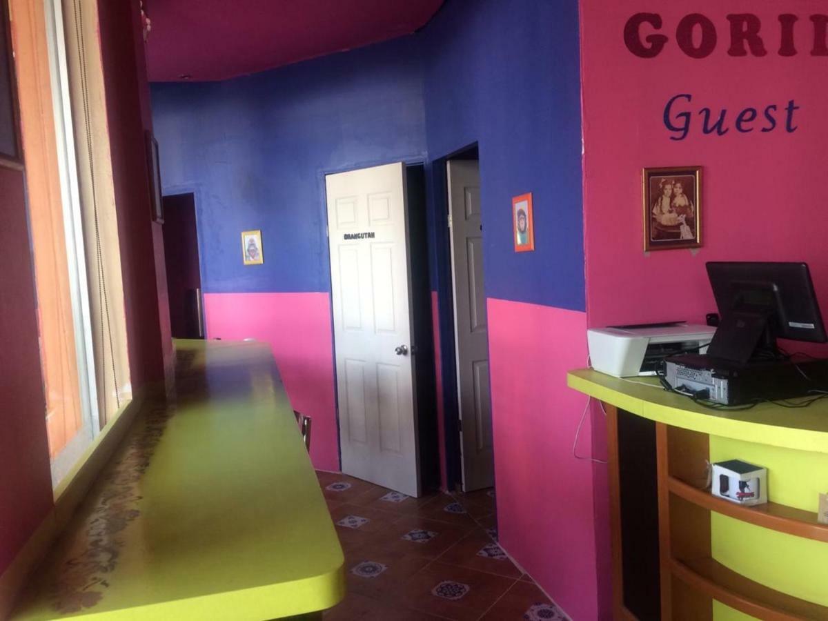 Gorilla'S Guest House Puebla Bagian luar foto